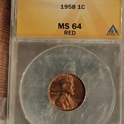 Graded coin for collection 🌾wheat penny