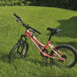 Mongoose Mountain Bike Inertia 20