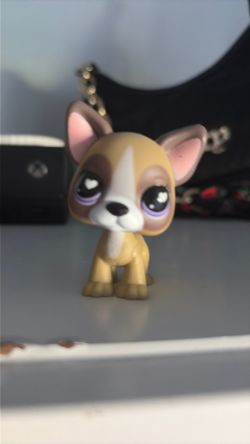 Dog lps