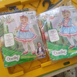 The Wizard Of Oz Costume