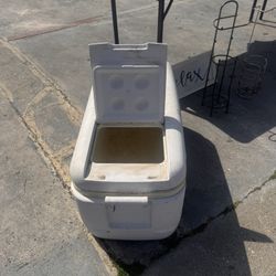 Igloo Cooler 
