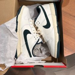 Nike Dunk Size 9 1/2 Brand New In Box 
