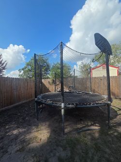 Tree frog trampoline