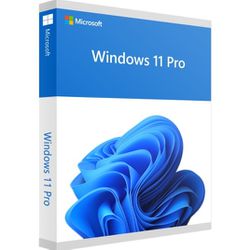 Microsoft Windows 11 Professional Digital License  Online Activation

