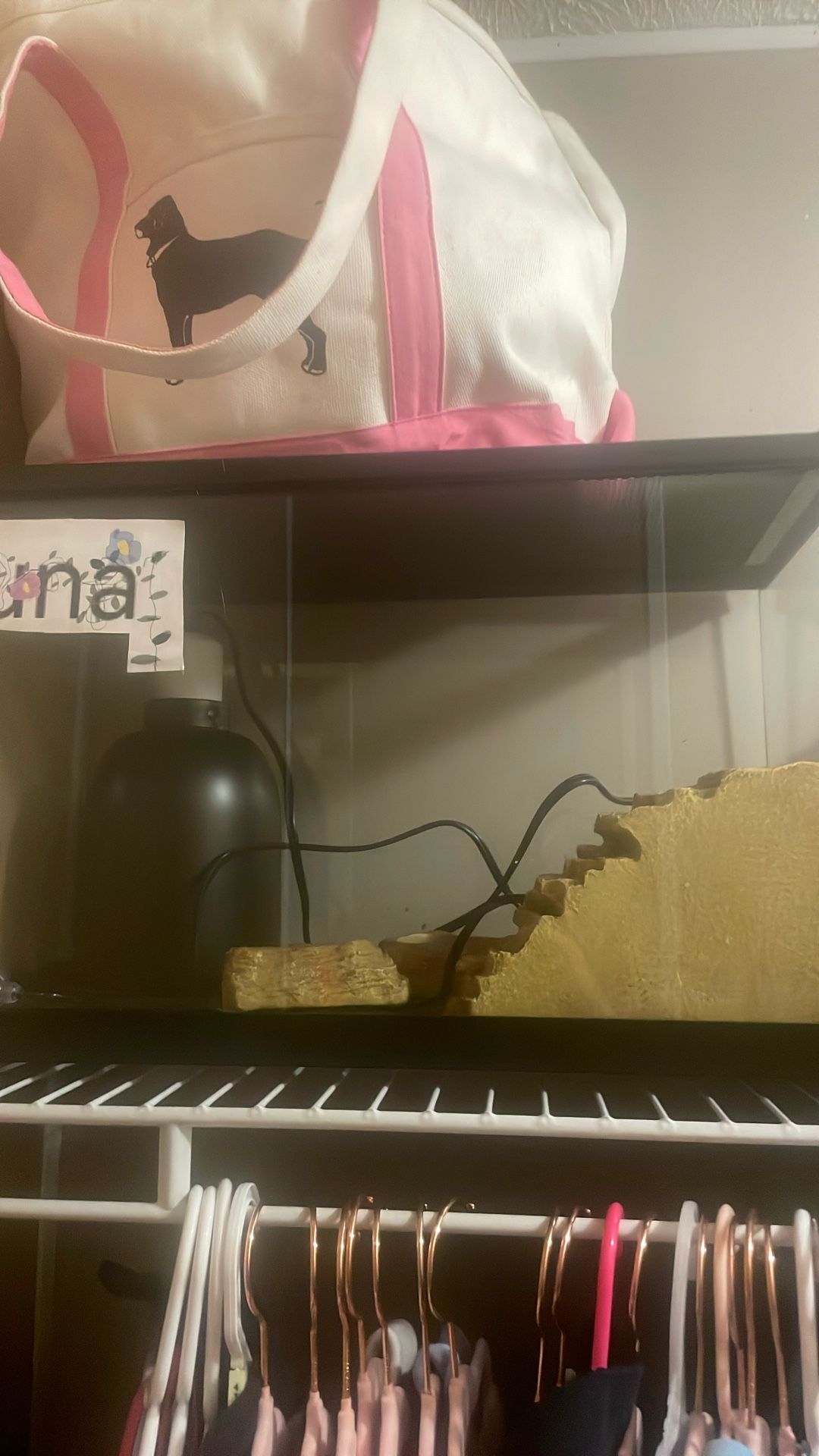Lizard Cage