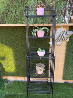 Iron plant 🪴 stand 6 foot tall by 28 inches wide