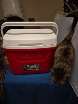 Igloo Red Cooler with Handle