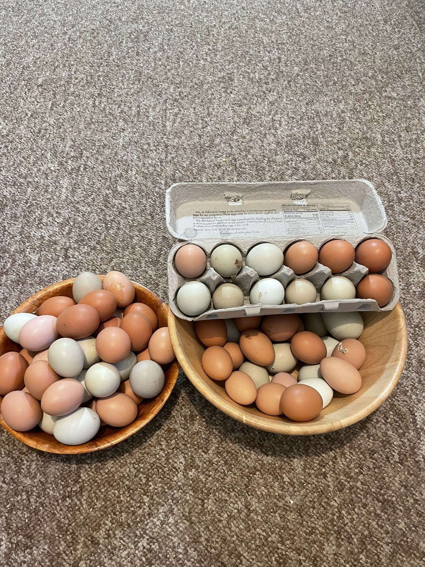  FRESH EGGS