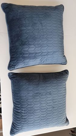 2 couch pillows- never used