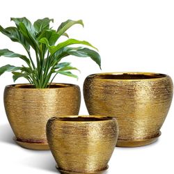 Pots for Indoor & Outdoor Plants Set of 3 Gold