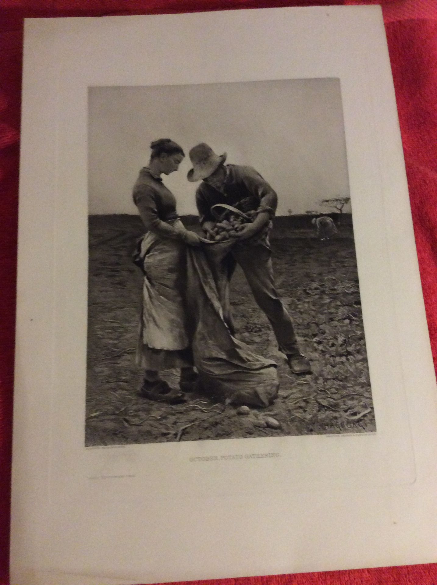 OCTOBER, POTATO GATHERING ORIGINAL PHOTOGRAVURE AUGUST HAGBORG 1800S