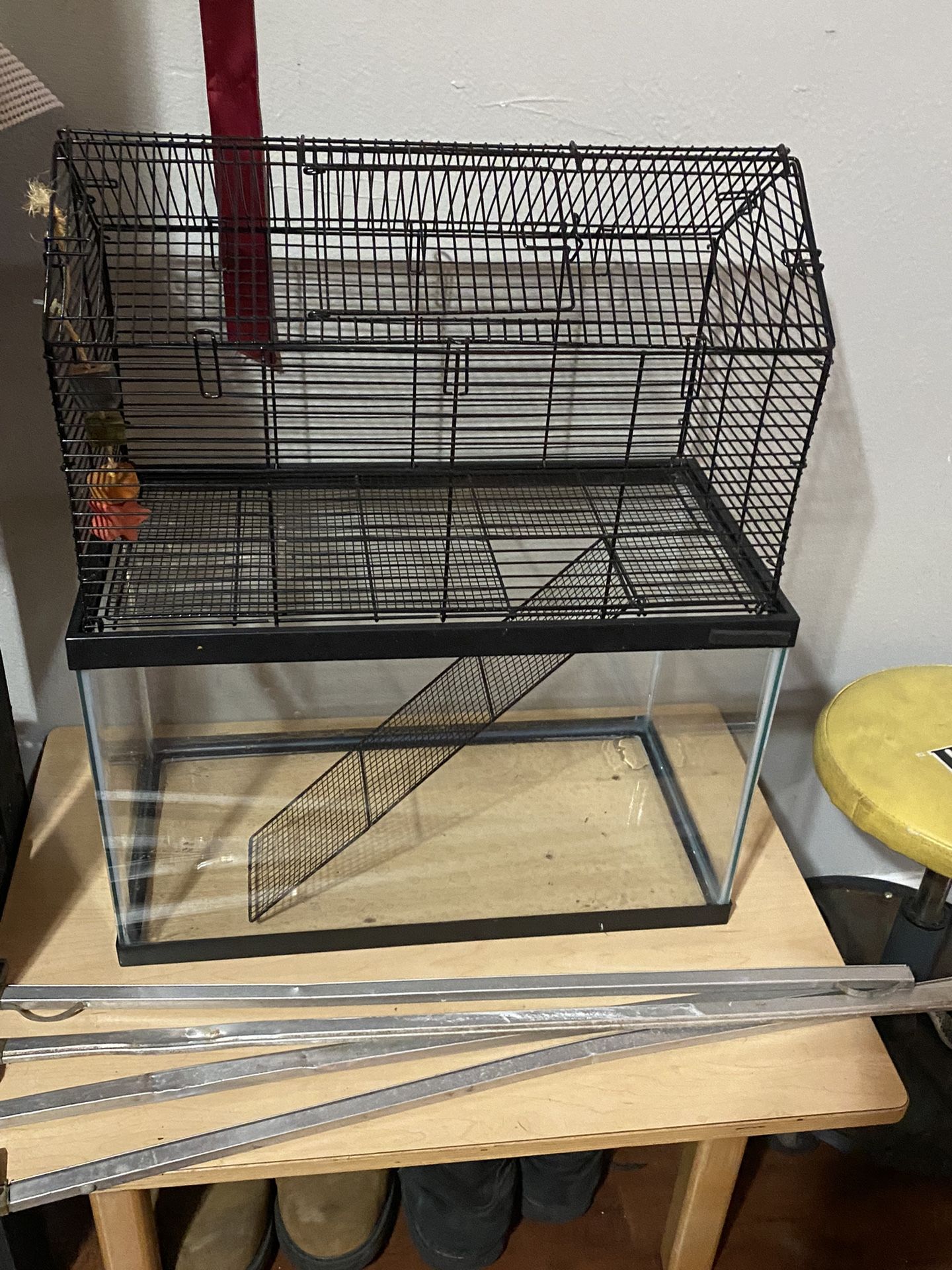 Hamster cage 10 Gallon 