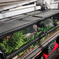 Terrarium Full Set-up 