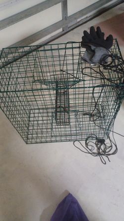 Crad Cage