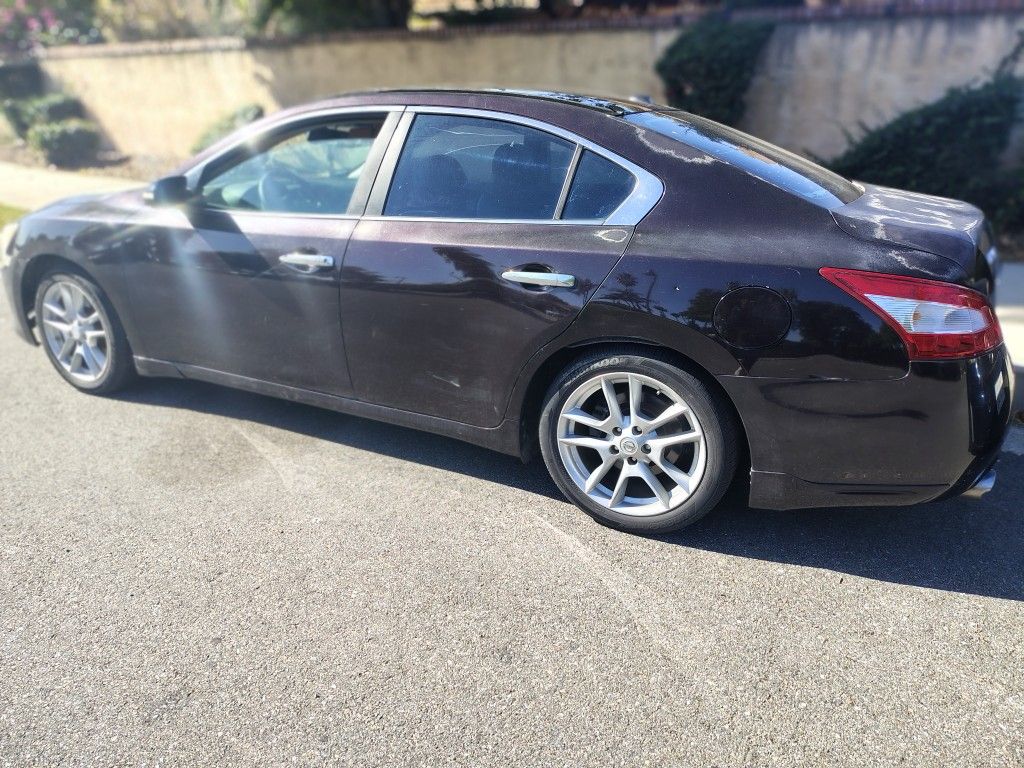 2010 Nissan Maxima