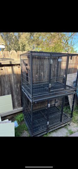 Dog Kennel