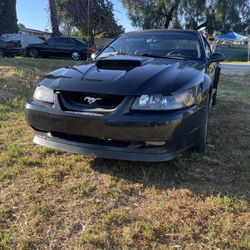2000 Ford Mustang