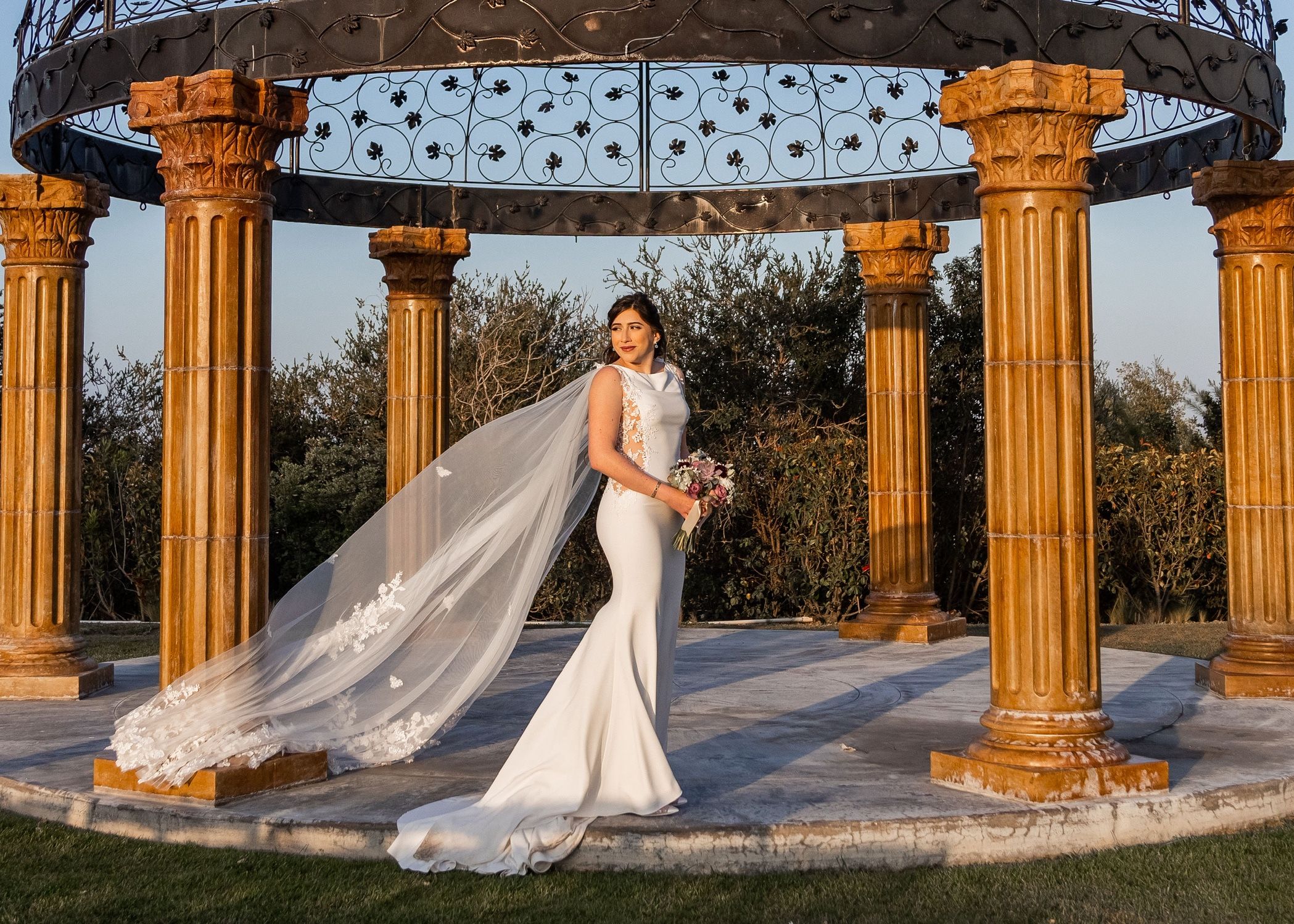 Pronovias Wedding Dress