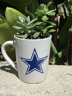 Cowboys Coffee Mug w/ Succulent plant