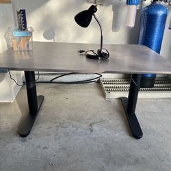IKEA Stand Up Desk
