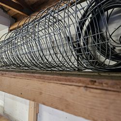 Tomato Cages And Drip Line