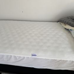 Twin mattress set