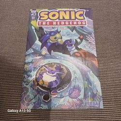 Sonic The Hedgehog: Annual 2024 Variant B (Fourdraine)