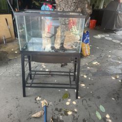Fish Tank 30gallon 