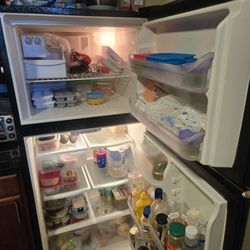Frigidaire Stainless Steel Refrigerator 17 Cu Ft – Works Perfectly