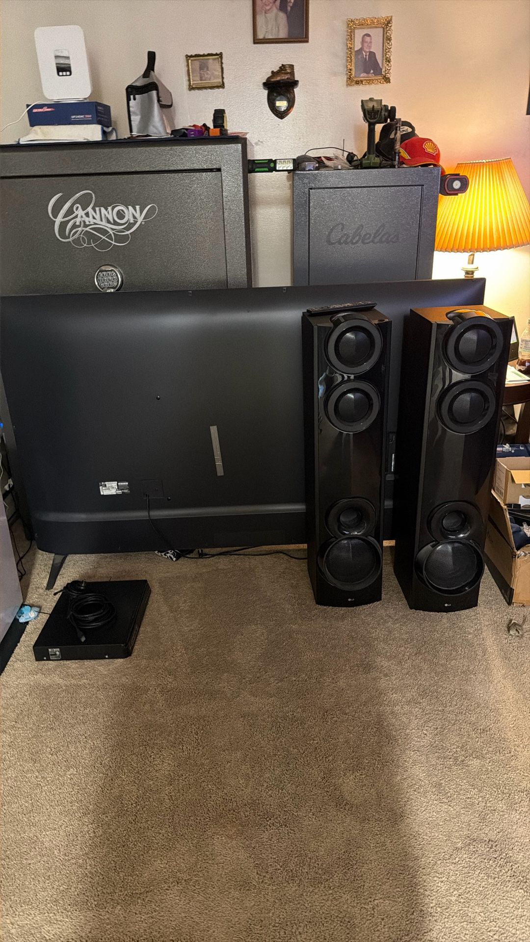 Home Entertainment System