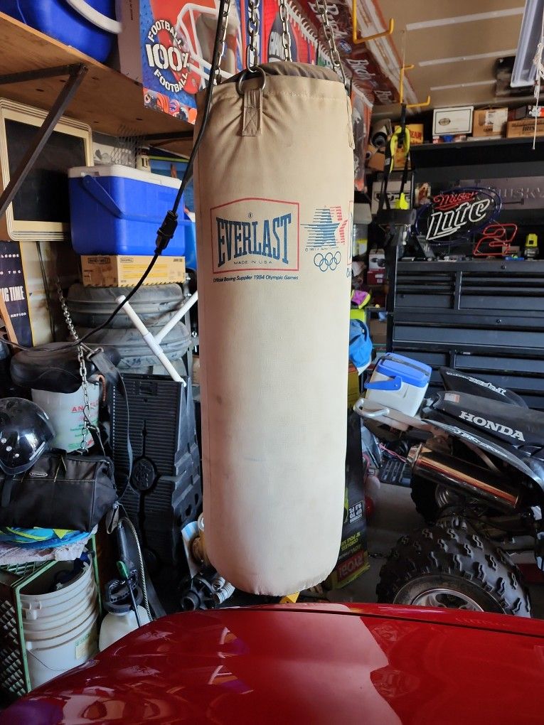 Everlast punching bag