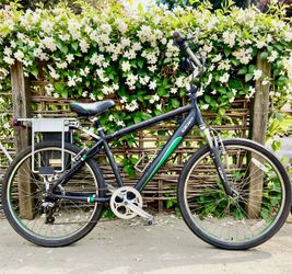 Electric bike