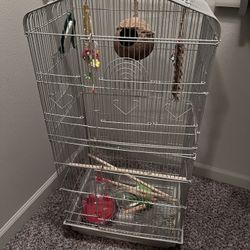 Bird Cage