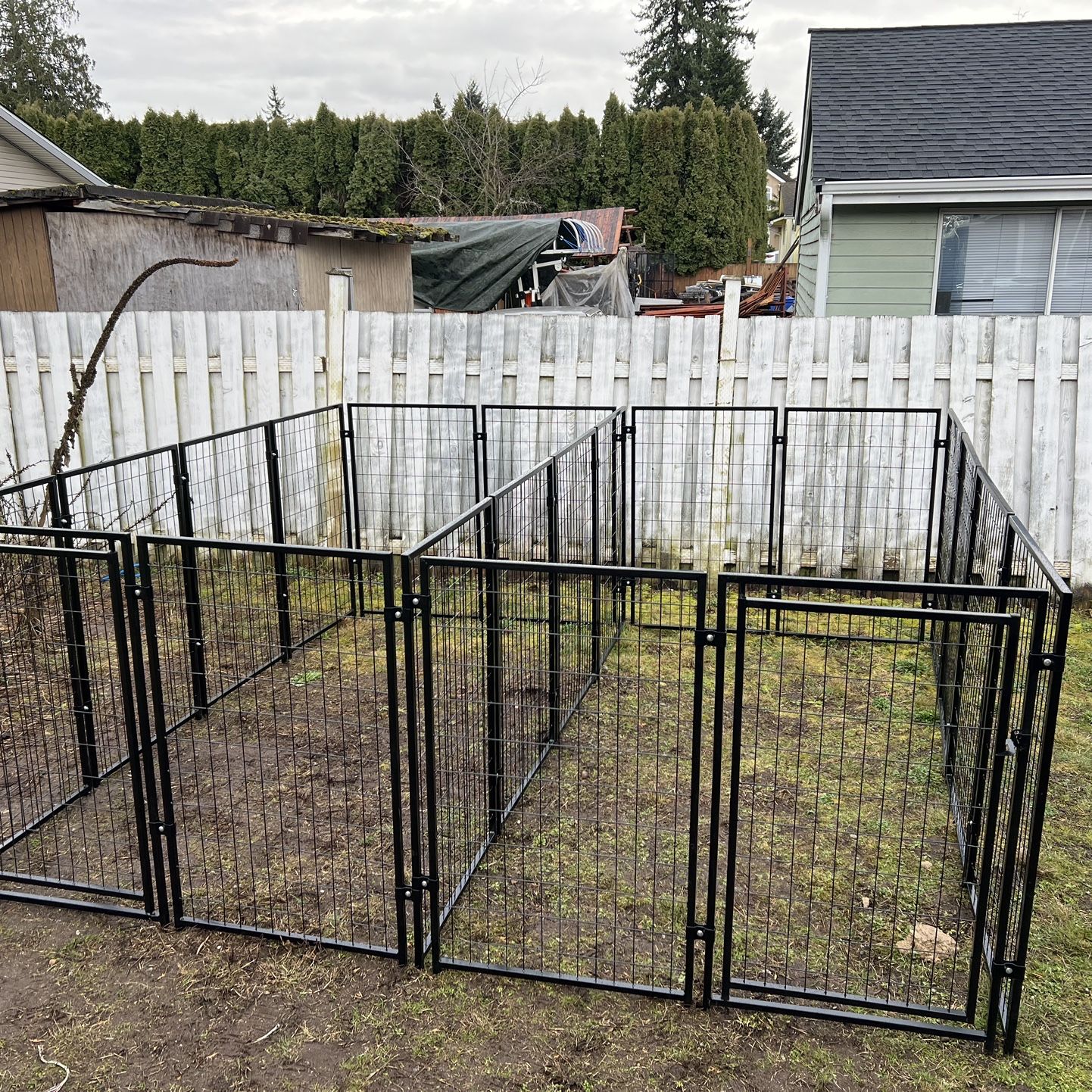 New Dog Kennel Heavy Duty 10ft X 10ft With Separate Wall And Two Doors 