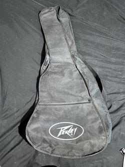 Peavey Case