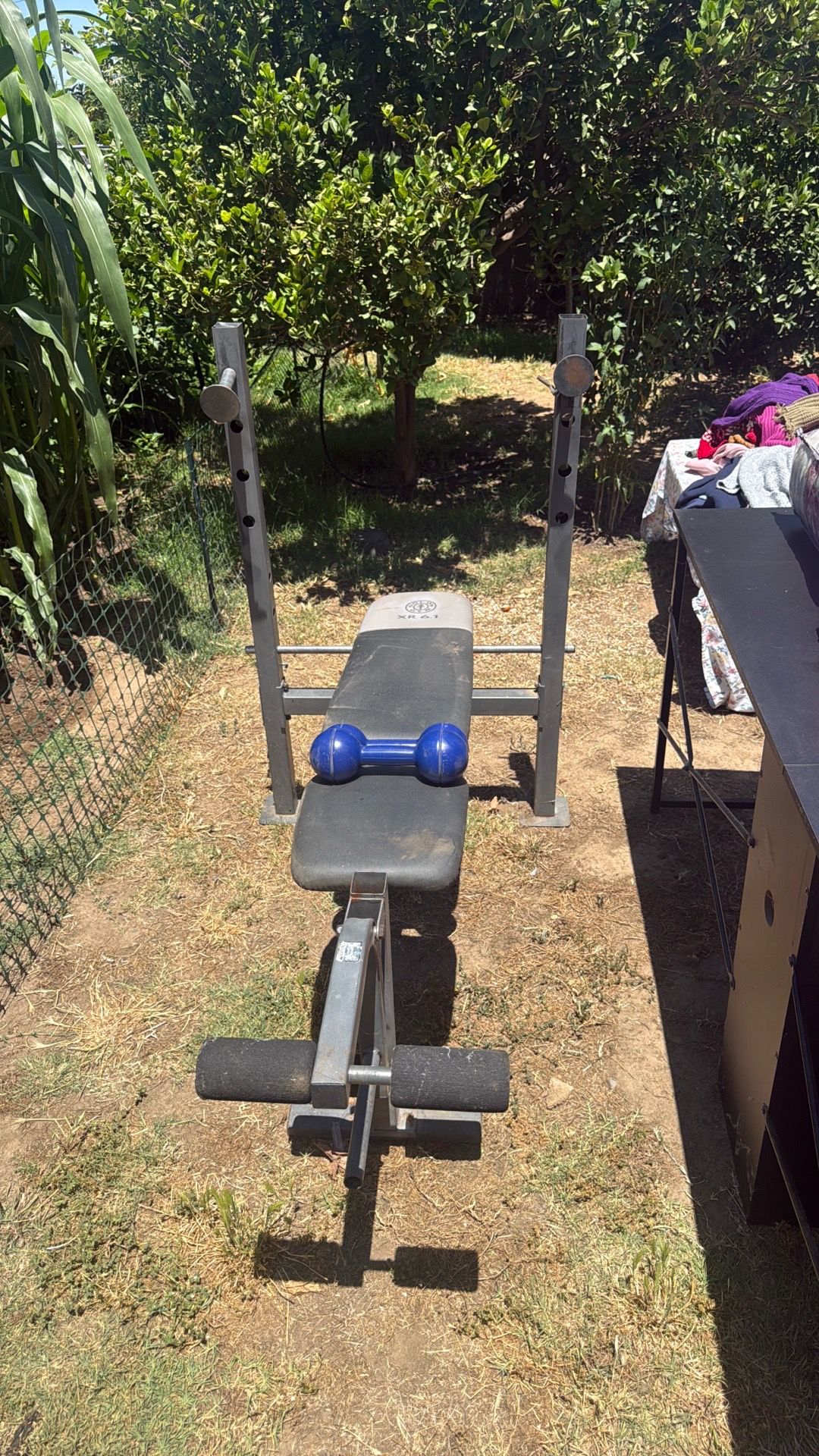 Weight Bench