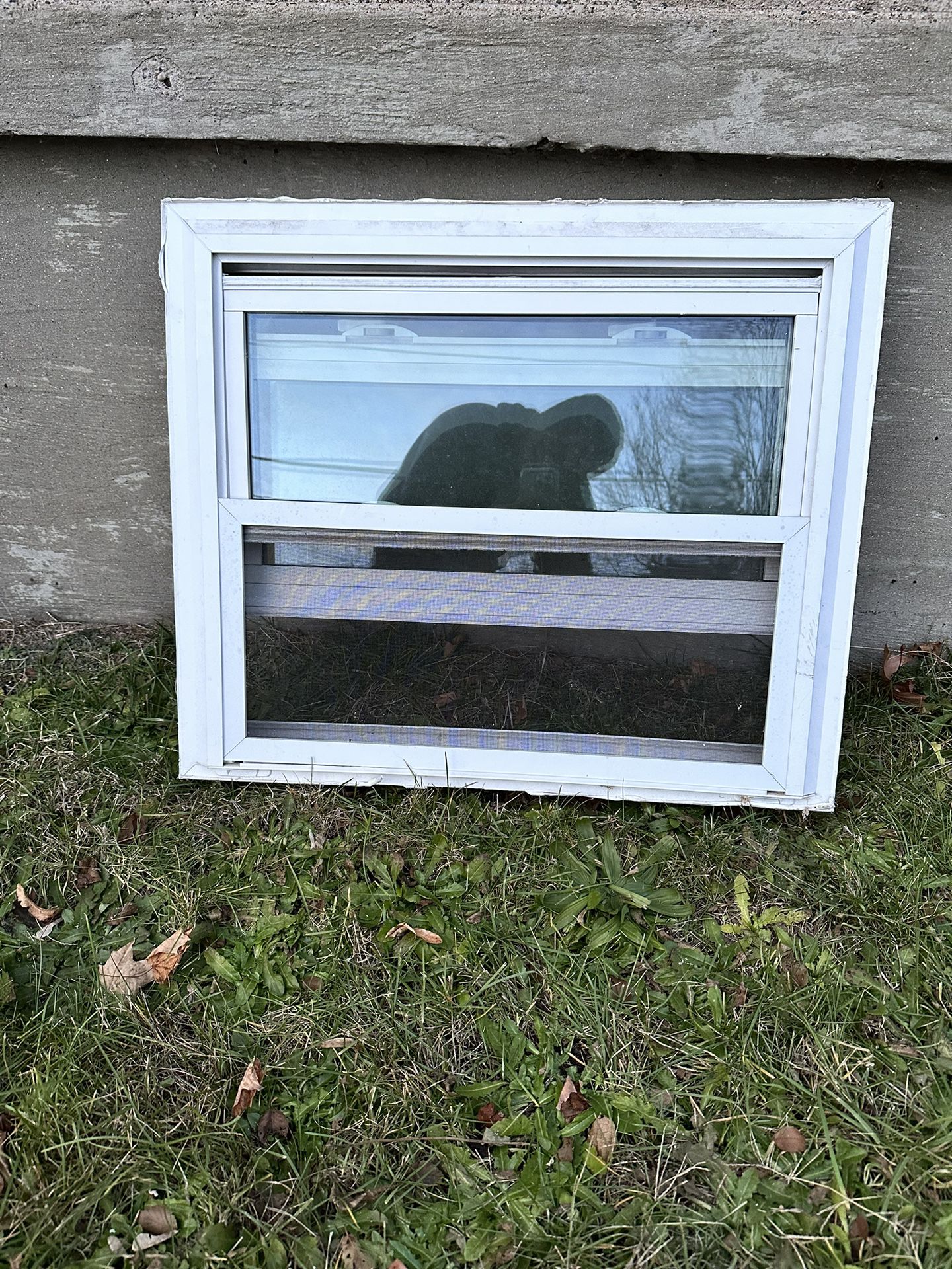 Window30x251/2
