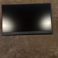 Portable Monitor