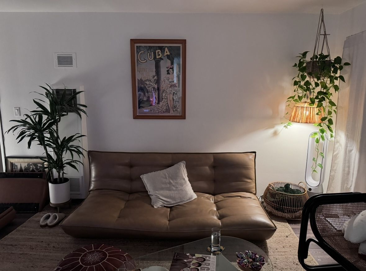 Brown Leather Futon