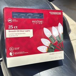 Clear lights 25ct