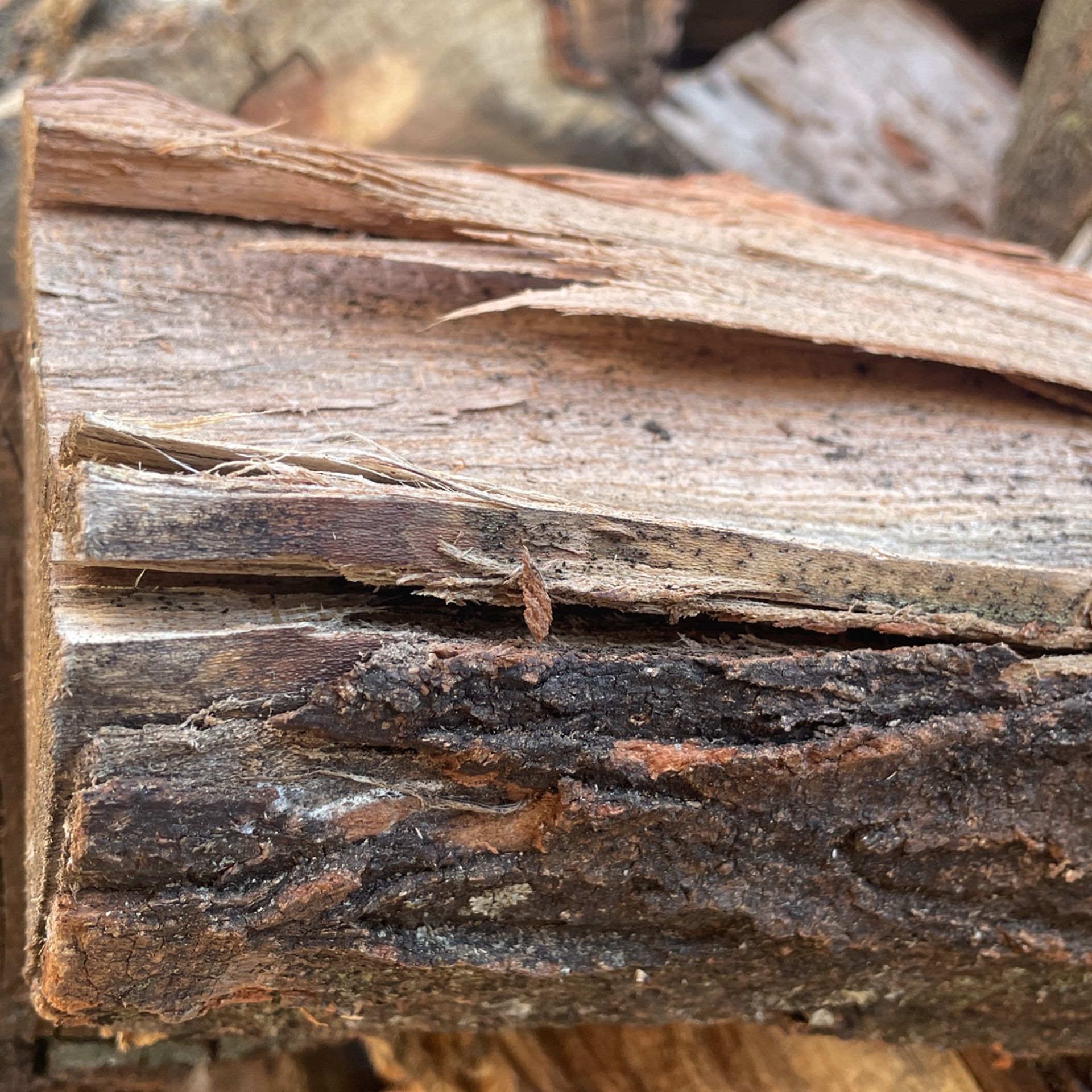 Premium Hardwood Firewood - Great for Fireplaces & BBQs - $8