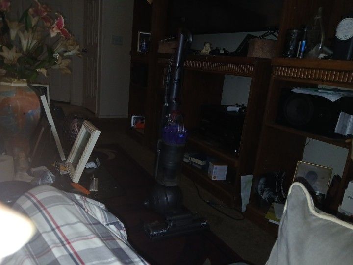 Dyson Slim Ball