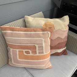 Indoor And Outdoor Throw Pillows (newish)