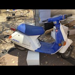 Honda Moped 