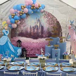Princess Cinderella Birthday 