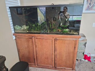 150gal tank with sump system.