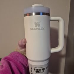 Stanley Cup Brand New With Handle 