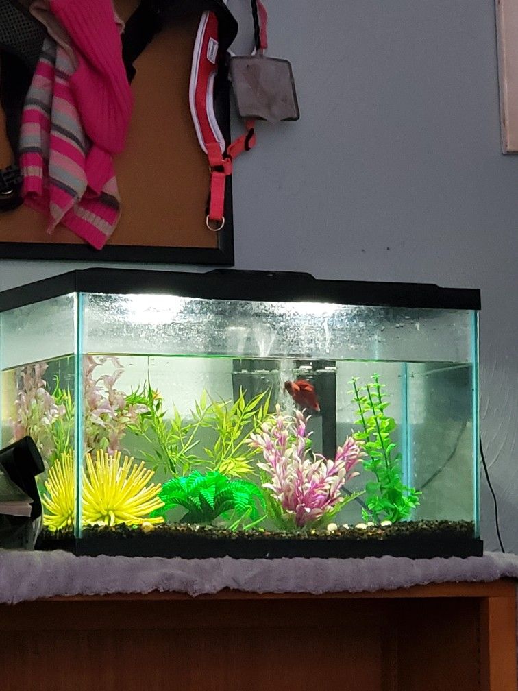 ISO 15 Gallon