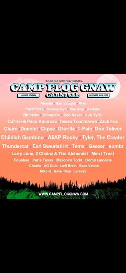 3 Camp Flog Gnaw GA Wristbands