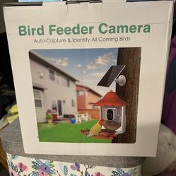 Bird feeder camera